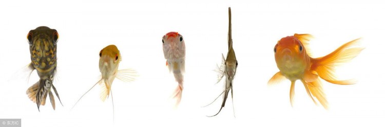 还傻傻的认为微信社群是人数爆满的微信群？手把手教你4步搭建社群